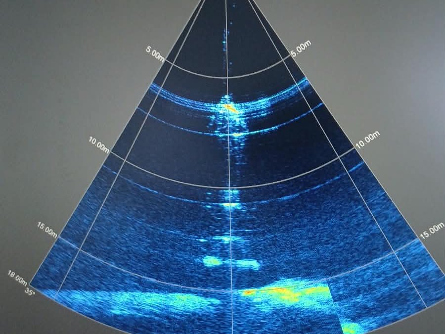 Multibeam water-column view on the survey screen, the seabed and a load descending