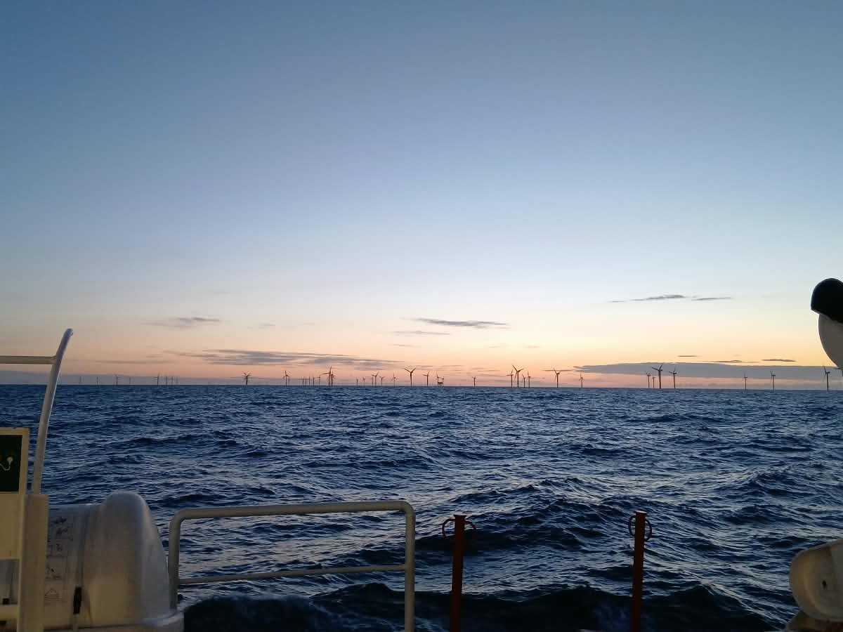 An offshore wind farm on the horizon at dusk